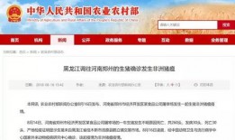 镇平农信社最新爆料消息,揭秘农信社发展新动向