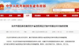 竹山农香最新爆料新闻报道,揭秘农产品背后的秘密