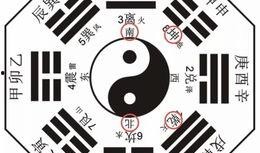 八卦爆料最新图文大全,图文大全揭秘娱乐圈最新动态
