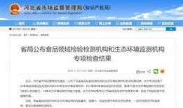 最新违规爆料新闻新泰,揭开背后利益链的神秘面纱