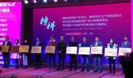 湖南地产爆料最新消息,揭秘神秘项目背后的真相