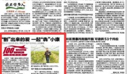 竹山农香最新爆料新闻报道,揭秘农产品背后的秘密