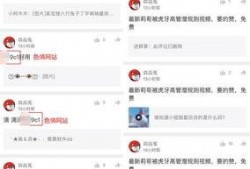 视频爆料规则最新,合规发布，守护网络空间清朗