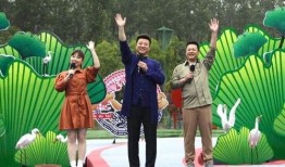 邯郸出轨爆料事件视频最新,真相与争议交织