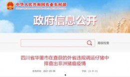 竹山农香最新爆料新闻报道,揭秘农产品背后的秘密