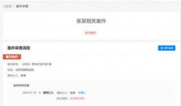 视频最新爆料网站下载,网站下载背后的秘密与趋势